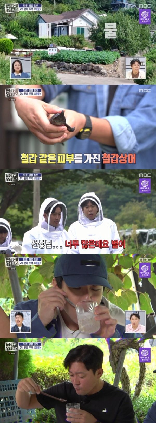 김대호x양세찬, '홈즈' 최초 옵션에 깜짝…양봉→철갑상어까지 [RE:TV]