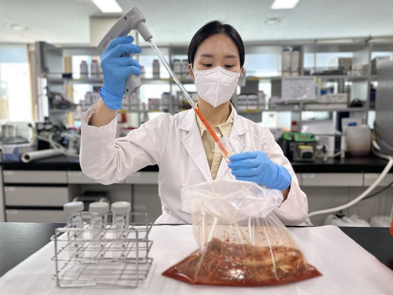 전남광주통합특별시(광주특별시)가 김장철을 앞두고 식중독 예방을 위해 전남보건환경연구원을 통해 노로바이러스 감시를 강화한다. 광주특별시 제공