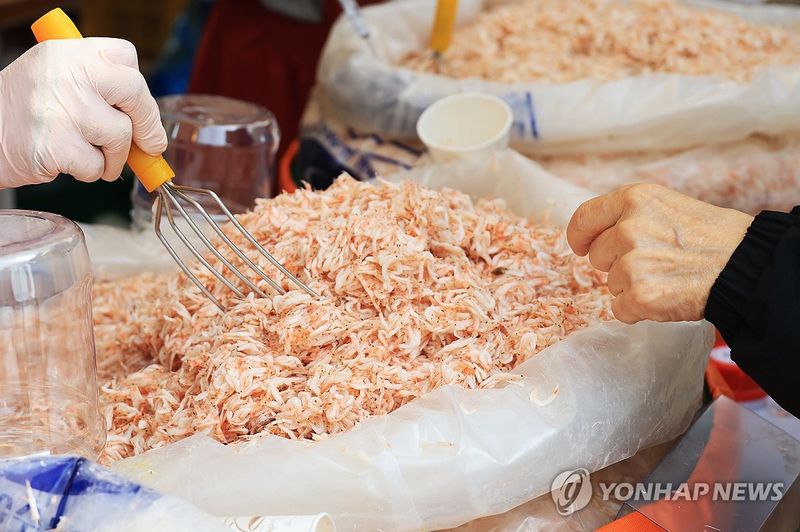 어획량 급감으로 가격 오른 새우젓 (출처=연합뉴스)