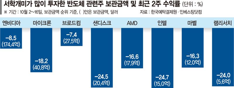서학개미도 피눈물… 엔비디아 투자자 2주간 2조 날렸다