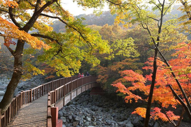 한라산 단풍 트레킹