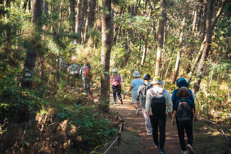 걷기여행객들이 코리아둘레길과 동서트레일이 만나는 충남 태안 해안길을 걷고 있다. 한국관광공사 제공