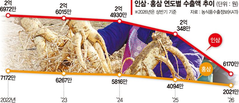 인삼 생산비용 오르는데 소비는 줄어… 농가·업계 커지는 한숨