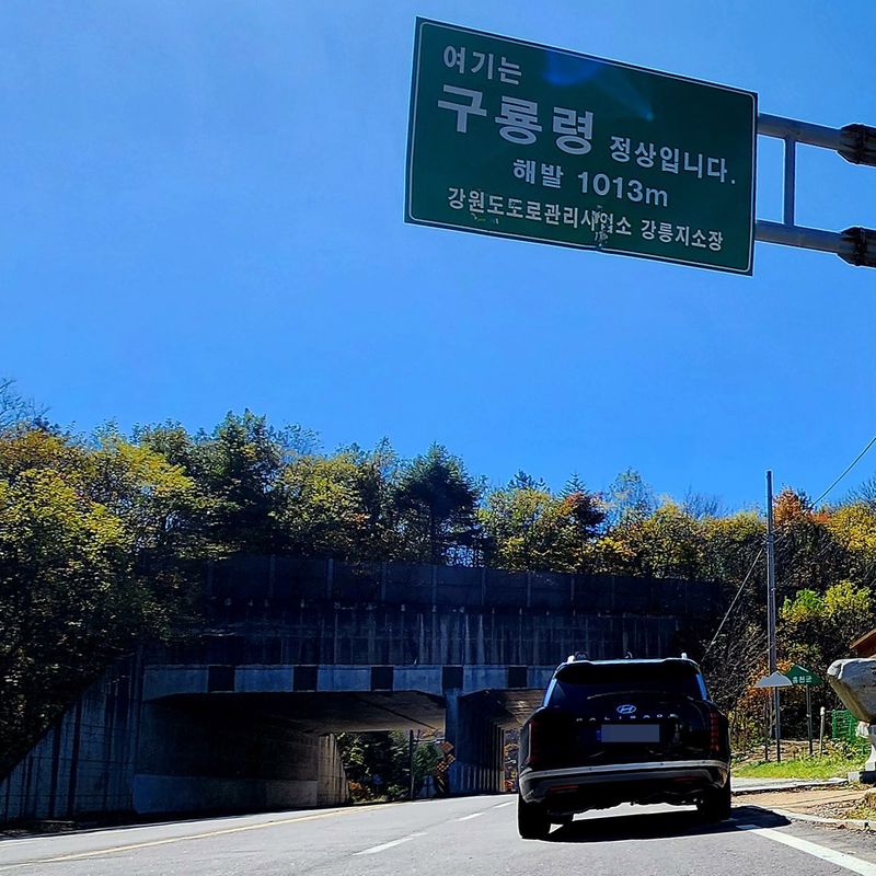 가을이 깊어지면서 강원도 홍천군과 양양군을 잇는 구룡령이 라이더들의 발길을 이끄는 가을 명소로 주목받고 있다. 해발 약 1,013m의 고갯길을 따라 이어지는 굽이진 도로와 울긋불긋 물든 산림은 오토바이 주행의 즐거움과 가을 산행의 정취를 동시에 선사한다. 사진=서동일 기자