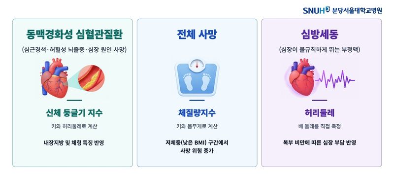 질환별 위험을 가장 잘 보여주는 비만 지표. 분당서울대병원 제공