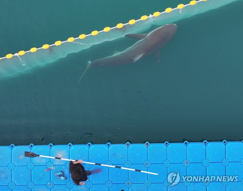 나갈 듯 안 나가는 부캉이 (출처=연합뉴스)