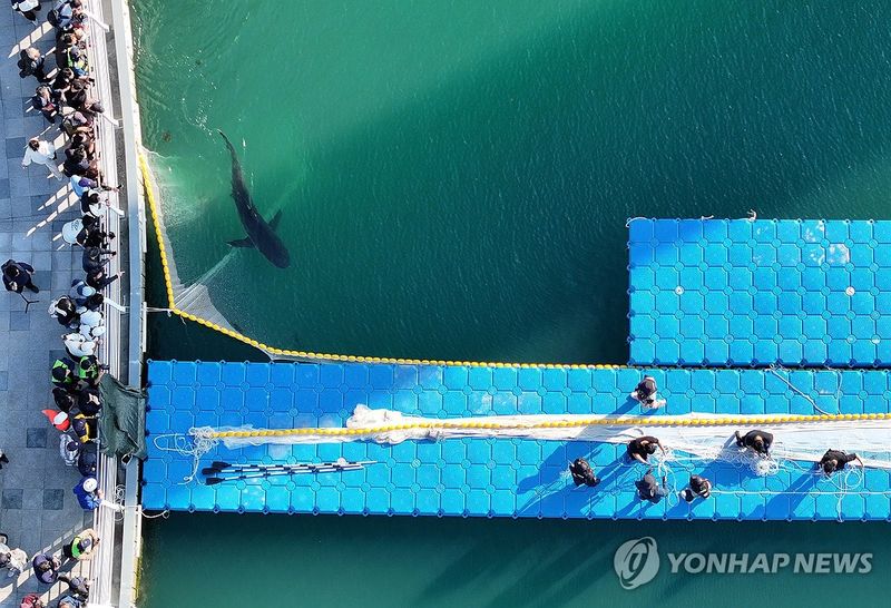 부캉이 3차 외해 유도작업 (출처=연합뉴스)