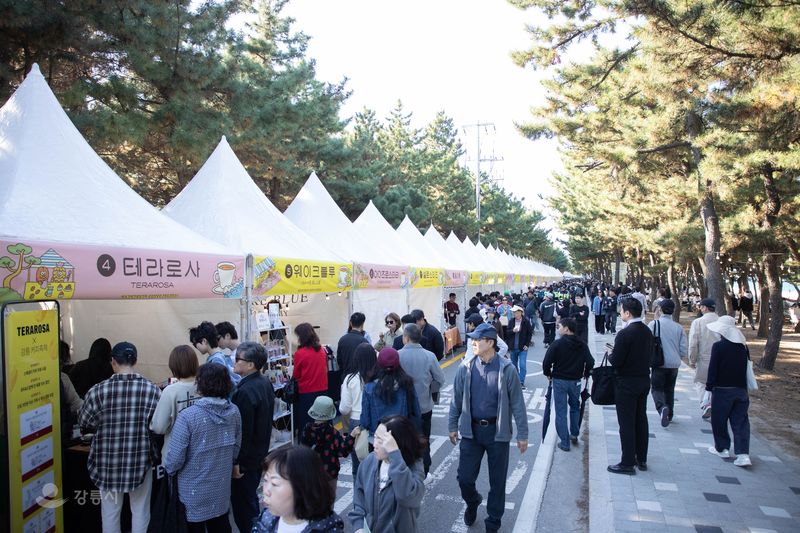 지난 21일 개막한 제18회 강릉커피축제를 찾은 방문객들이 소나무 숲길을 따라 늘어선 강릉지역 카페 부스를 둘러보며 커피를 맛보고 있다. 강릉시 제공