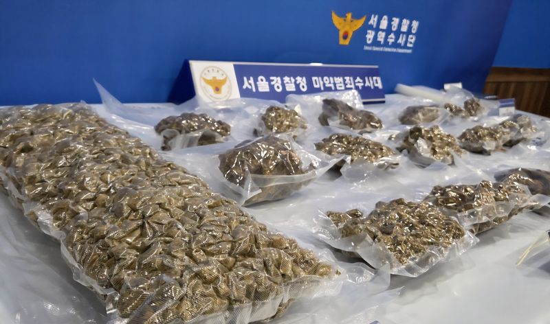 경찰이 압수한 대마. 서울경찰청 제공