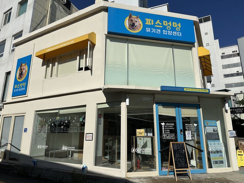 프로야구 KIA 타이거즈의 김도영·박재현 선수가 전남광주통합특별시(광주특별시) 동구에 위치한 유기견 입양센터 '피스멍멍'<사진>에 보호견을 위한 물품을 후원하며 따뜻한 나눔을 실천해 눈길을 끈다. 광주특별시 동구 제공