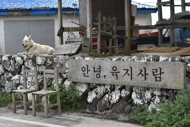 제주 우도 제주관광공사 제공
