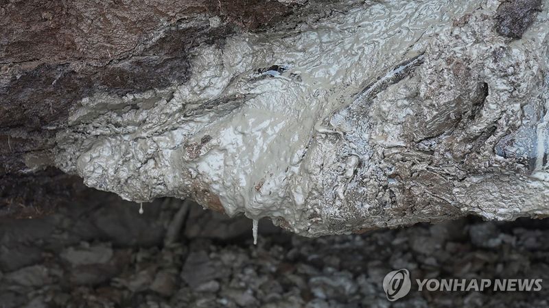 美전문가들이 본 알래스카LNG…"시장가 2배 내는 비현실적 사업"