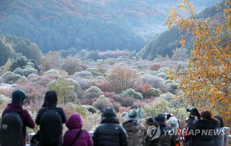 인제 가을단풍 (출처=연합뉴스)
