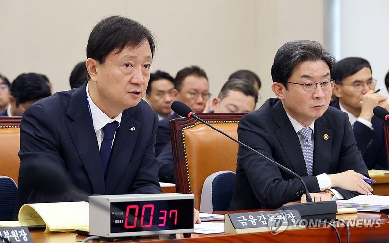 정무위 국감 답변하는 이찬진 금융감독원장 (출처=연합뉴스)