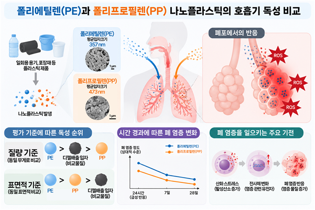 PE·PP 나노플라스틱의 호흡기 흡입경로와 폐 손상 유발과정. 한국생명공학연구원 제공
