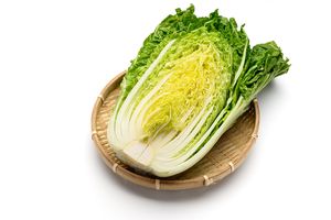 11월 대표 제철음식 굴·무·배추... 한의학적으로도 주목할 만한 식재료 [한의사 曰 건강꿀팁]