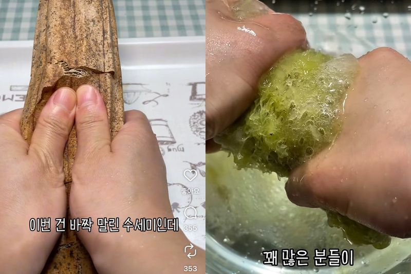 SNS에서 화제가 된 천연 수세미 껍질 벗기기(왼쪽)와 수세미 짜기 영상 (출처=연합뉴스)