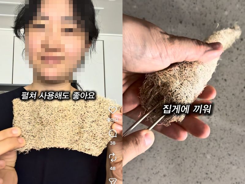 다양한 형태로 활용되는 천연 수세미 (출처=연합뉴스)