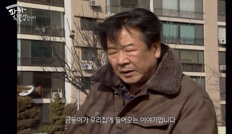 배우 최불암 다큐멘터리 방송 장면.