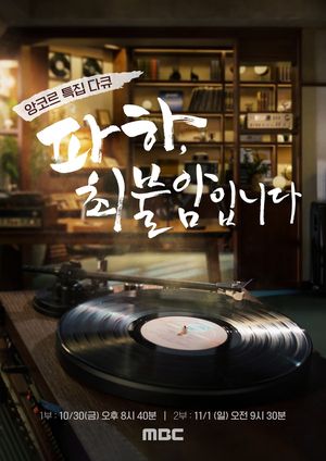 MBC 추모 특집 다큐멘터리 '파하, 최불암입니다' 포스터. MBC 제공