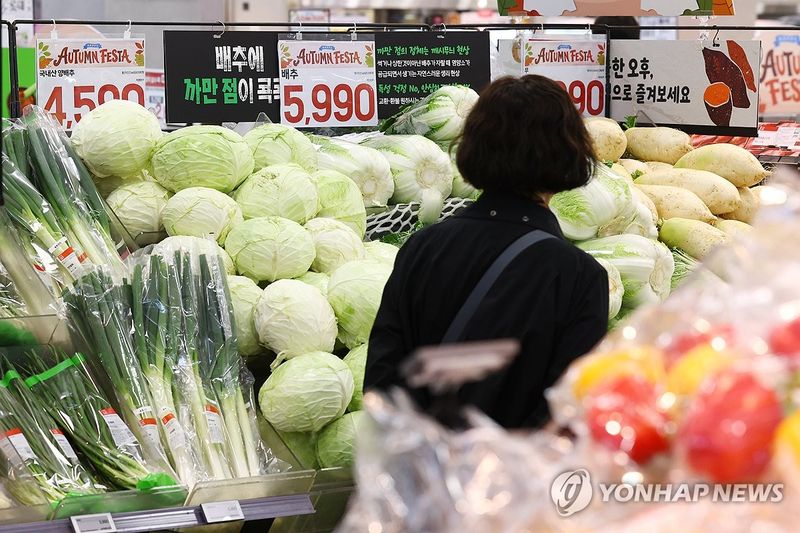 [다음주 경제] 소비자물가 얼마나 올랐을까…9월 국제수지도 발표 (출처=연합뉴스)