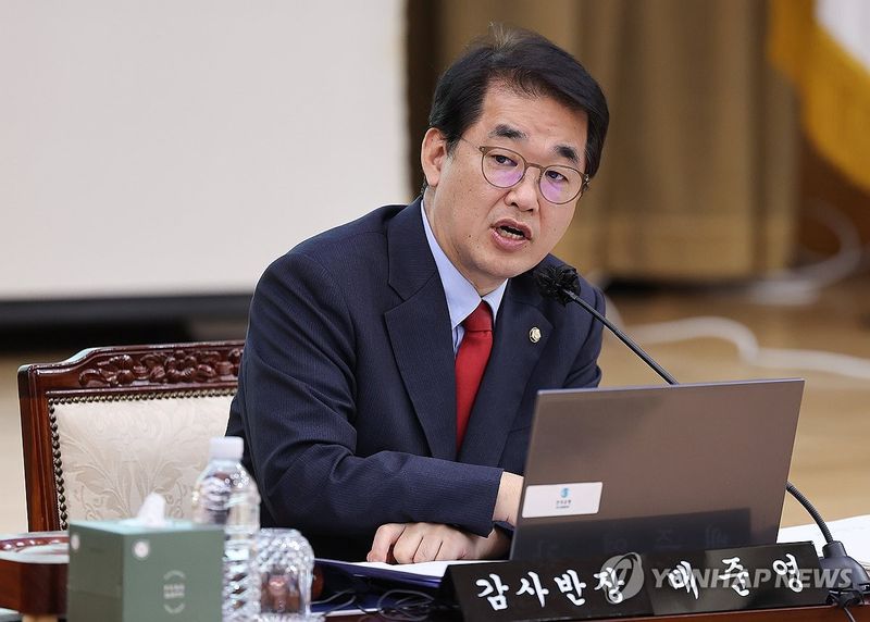 국감서 발언하는 배준영 의원 (출처=연합뉴스)